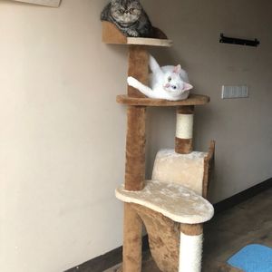 女人❌👙羞动漫视频
